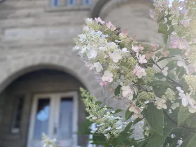 close up of front of old part of listowel library, spring flowers in corner of image